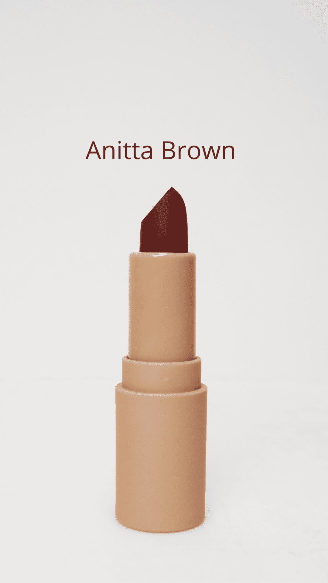 Lipstcik Labial en Barra