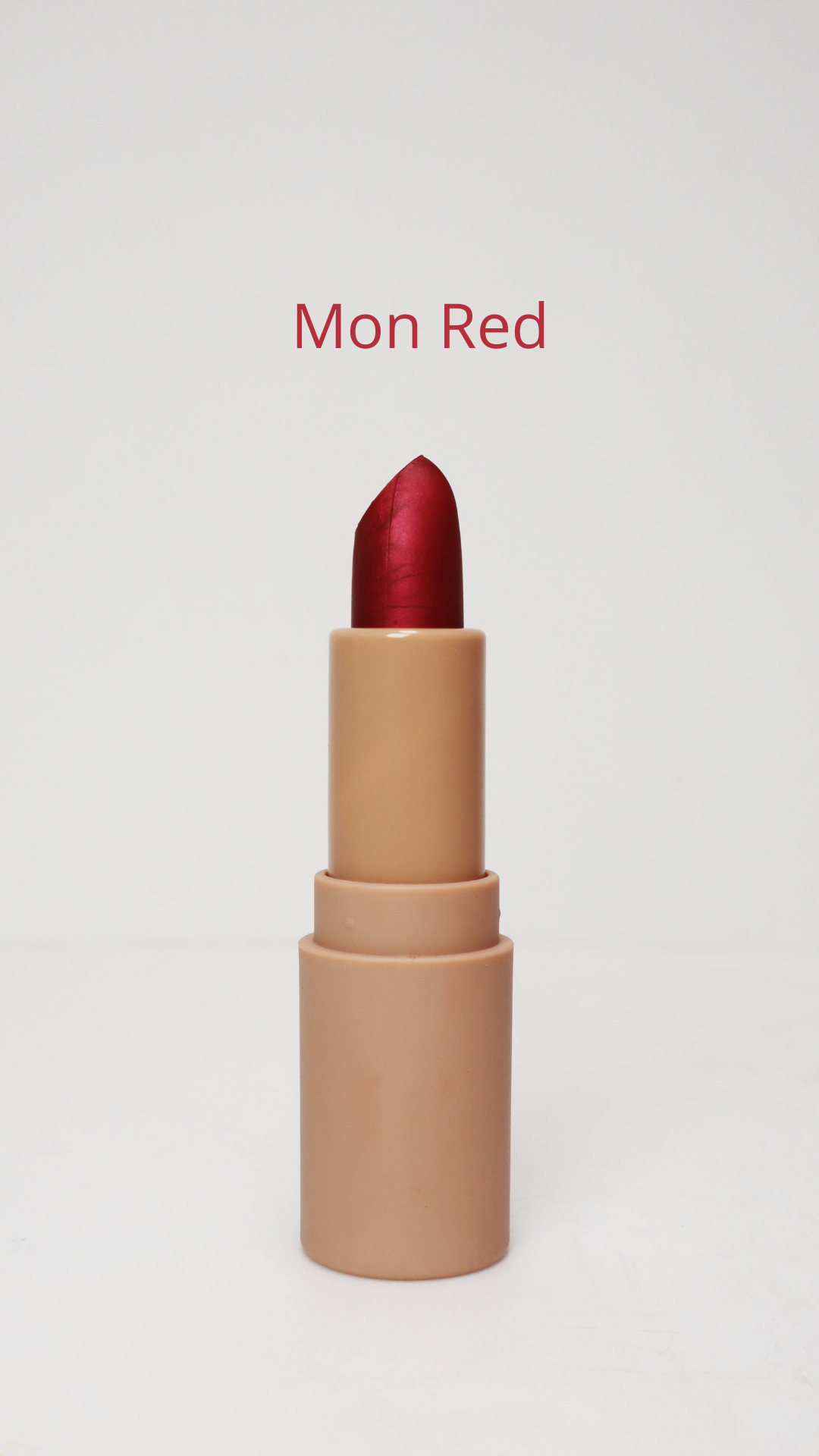 Lipstcik Labial en Barra